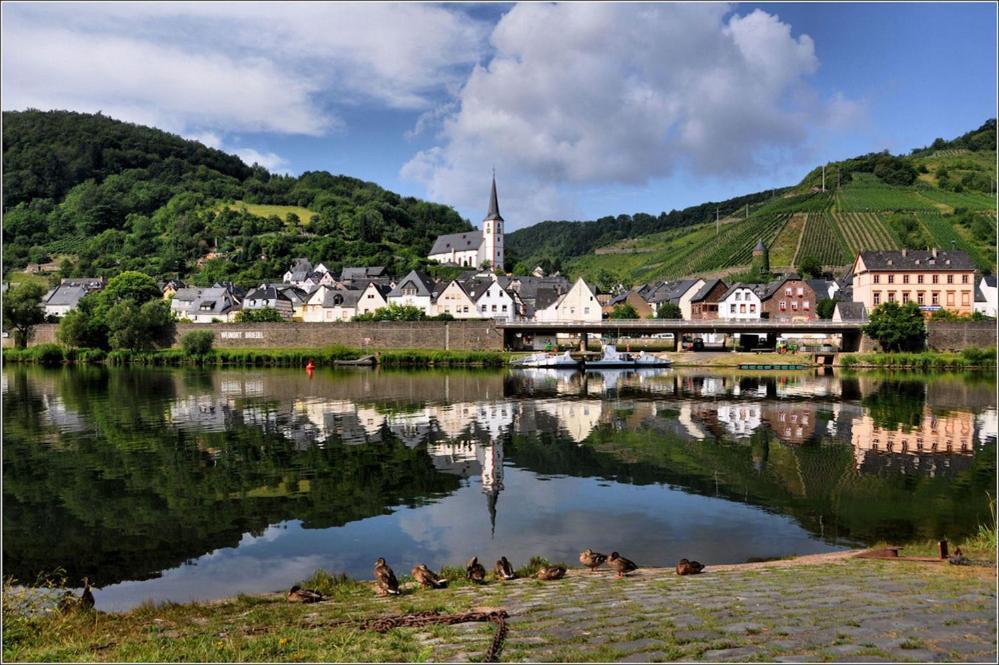 Hotel Weingut-Gaestehaus Karl Otto Nalbach Briedel Zewnętrze zdjęcie