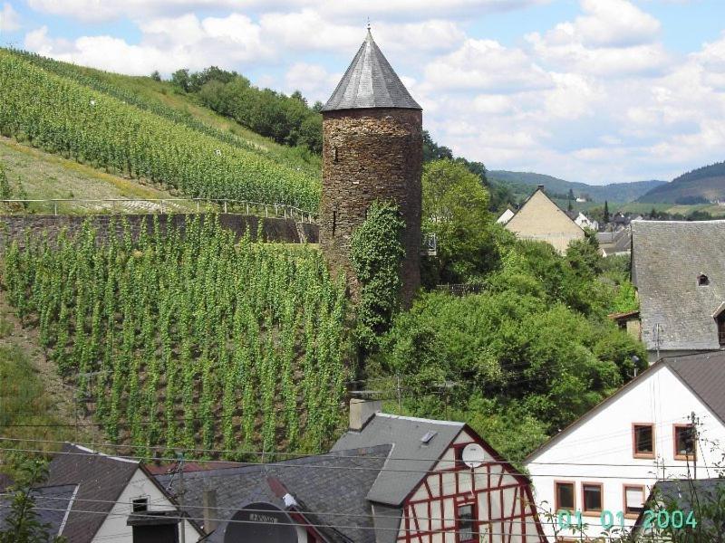 Hotel Weingut-Gaestehaus Karl Otto Nalbach Briedel Zewnętrze zdjęcie