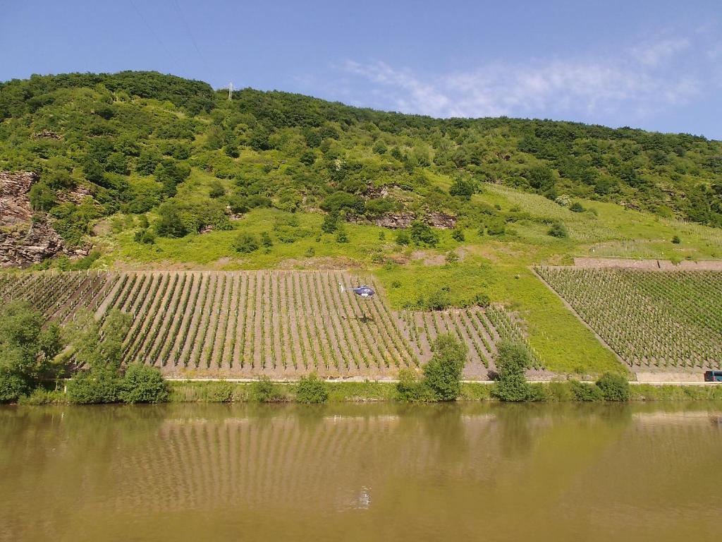 Hotel Weingut-Gaestehaus Karl Otto Nalbach Briedel Zewnętrze zdjęcie