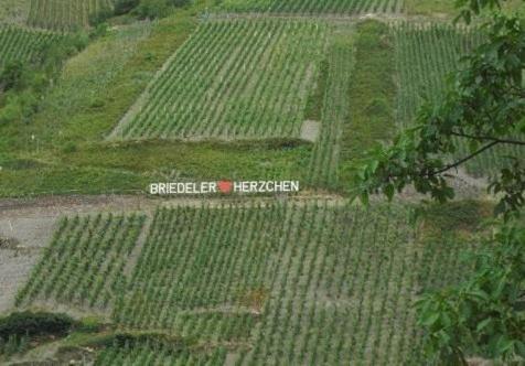 Hotel Weingut-Gaestehaus Karl Otto Nalbach Briedel Zewnętrze zdjęcie